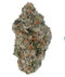 CherryZashimi-THCa Flower