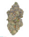 QuattroKush-THCa Flower